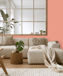 Alternative view of 087R-4