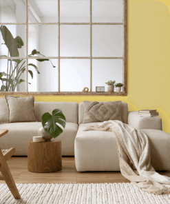 Alternative view of 141Y-4