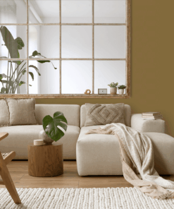 Alternative view of 146Y-6