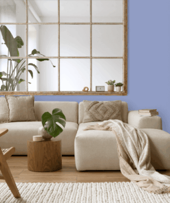 Alternative view of 210P-4 Mauve