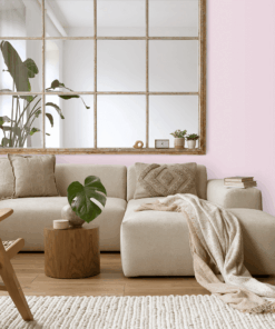 Alternative view of 217P-1